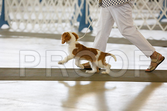 _RH_0608-DallasJul2014-HR3