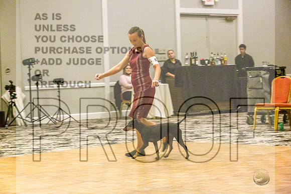 Manchester Terrier MTOY Candids-JJL_2159-Hstn2022_HR3