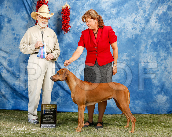 _ST_3707-2-AlamogordoOct2014-HR3