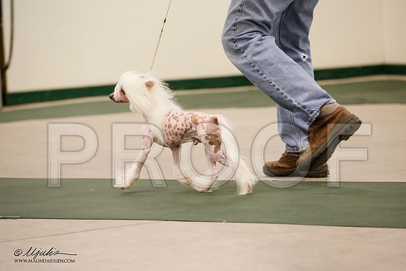 _JN_9043-NrmnNov2014-HR3