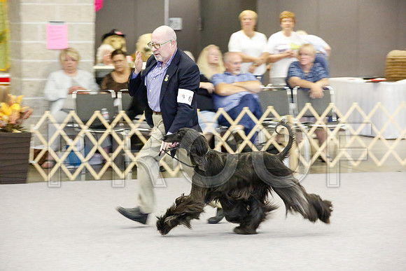 _JJ_2177-AfgBeltonOct2014-HR3