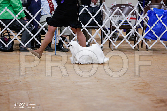 _RH_7736-TxArJun2014-HR3