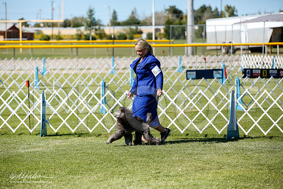 _JN_9419-AlamogordoOct2014-HR3