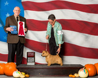 Norwich Terriers #5 Sat G2 Lentz Nancy Dwain Agent Betty M Bossio Judge Mr Merle Taylor