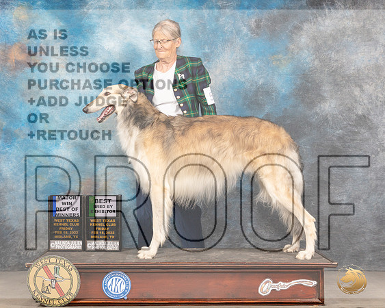 Borzoi #5 Fri BOW BBE Judge Judy BrownMMJ_3306_Mdlnd2022_HR3