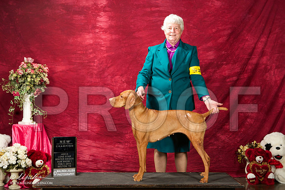 _ST_2917-BeltonJan2015IABCA-HR3