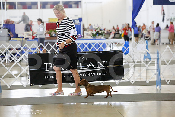 _HR_0903-DallasJul2014-HR3