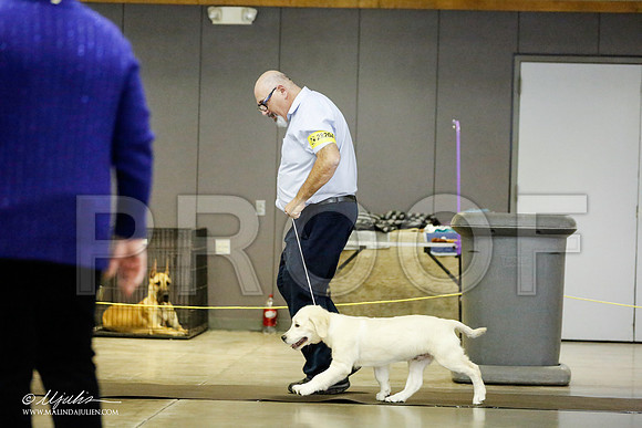 _RH_0957-BeltonJan2015IABCA-HR3