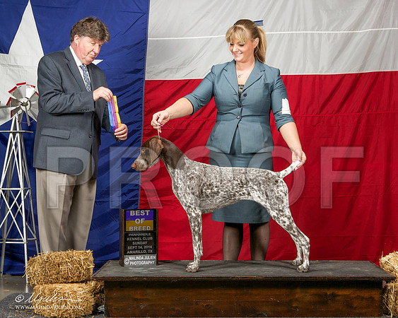 _ST_2025-AmarilloSep2014-HR3