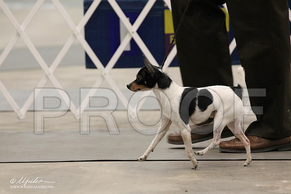 IMG_6808-Abilene2011-HR3