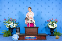 American Hairless Terrier #19 THUR BOW NC Judge Jamie Hubbard