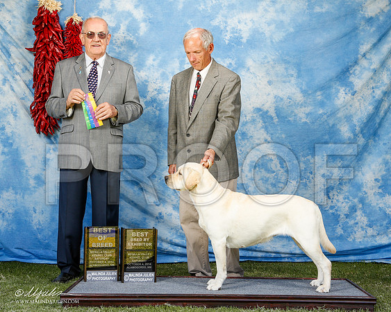 _ST_2870-2-AlamogordoOct2014-HR3
