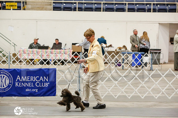 _CK_7968-AblnMay2014-web