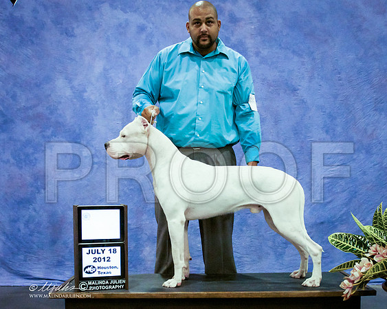 IMG_3755 PROOF