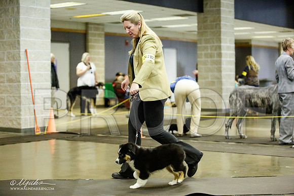 _JJ_6225-BeltonJan2015IABCA-HR3
