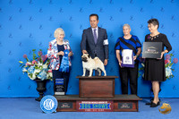 Pug #5 SAT G1 Judge Nancy Liebes