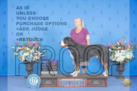 Greater Swiss Mountain Dog #5 SAT WD BOW BOB OHBOB Judge Annella Cooper__JP_9796_Houston_2024_HR3