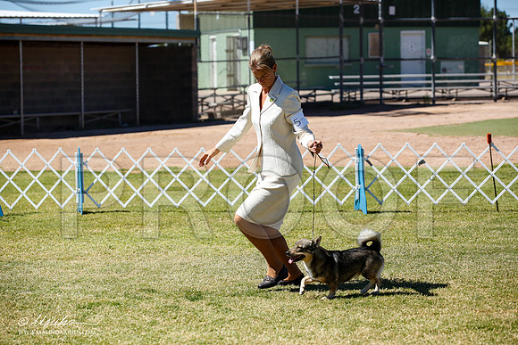 _JN_4896-AlamogordoOct2014-HR3