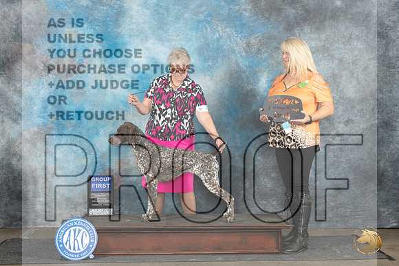 German Shorthaired Pointer #10 Sat G1 Judge Gerard Penta__JP_3635_Lubbock_2024_HR3