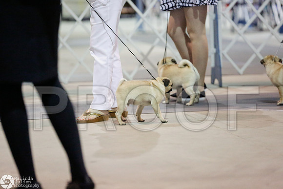 _RH_4062-SanAntonioJul2014-HR