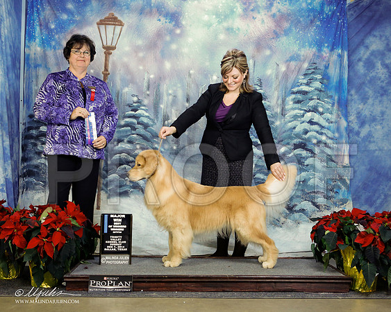_ST_9357-2-DallasDec2014-HR3