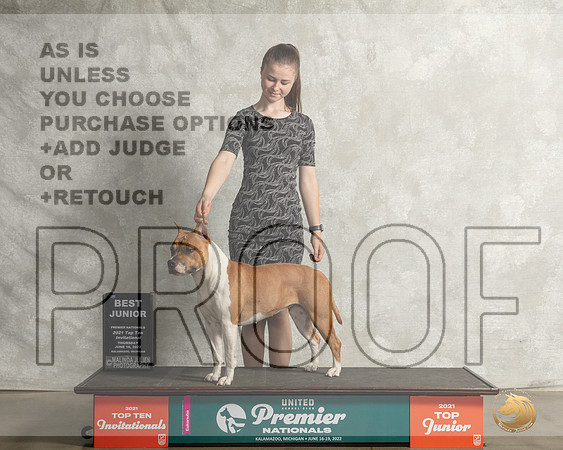 American Pit Bull Terrier #1269 Thur Top10BOB Judge LInda Reece__MJ_8396_Premier_2022_HR3