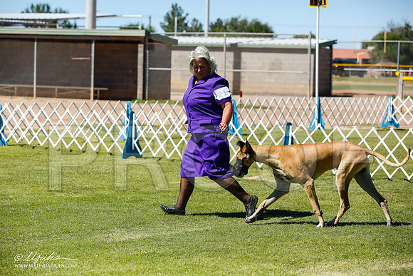 _JN_6344-AlamogordoOct2014-HR3