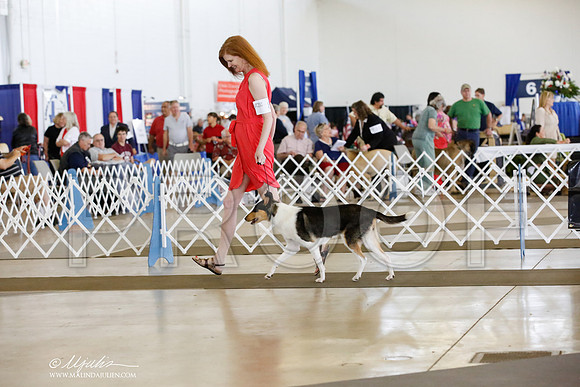 _CK_9524-DallasJul2014-HR3