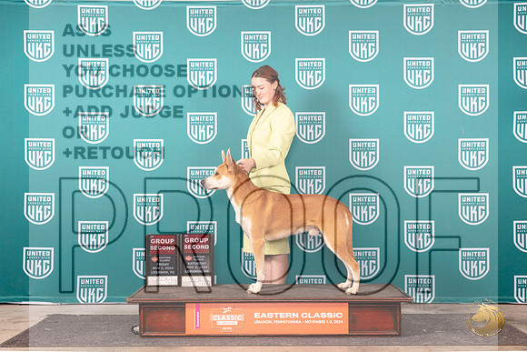 Carolina Dog #146 Fri Sat note__JP_2431_UKCEastern_2024_HR3