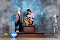 Pomeranian #9 Sun WBCH Judge Rodney Merry