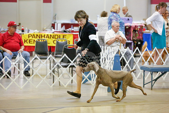 _JJ_3437-AmarilloSept2014-HR3