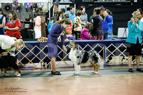 _JN_5673-ASCACollegeStationNov2014-HR3