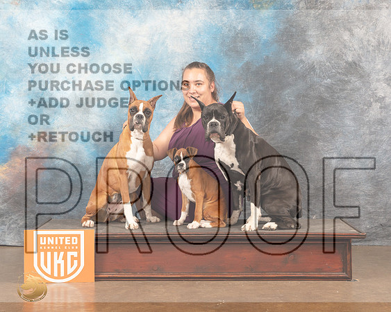 Boxer Family FunMMJ_5595_Lngvw2022HR3