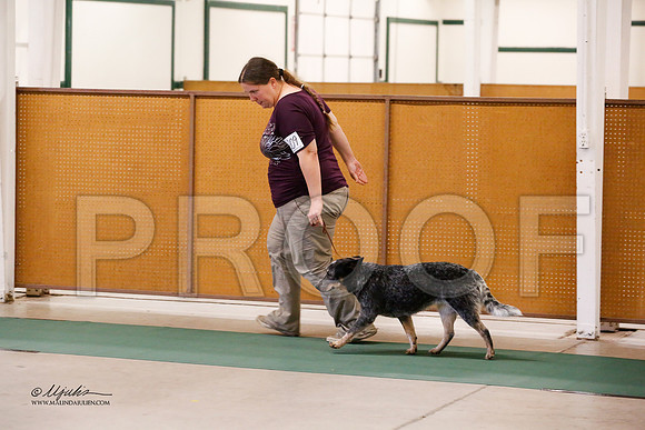 ACD-9979-NormNov13-HR