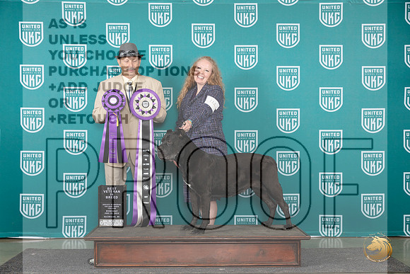 Cane Corso #112 Wed VB Judge Joseph Gudry__JP_0466_Premier_2024_HR3
