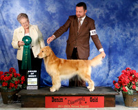 #110 Sat Award of Merit GCH Scion Hott Pants Kathy Whipple & Jim  & Alisa Andras & Leeah Chew DMV Agent Clint Livingston Judge Virigina Lyne