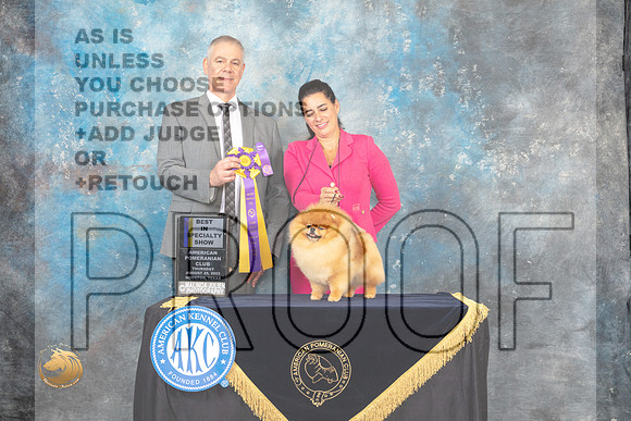 Pomeranian #67 Thur BISS Judge Luis Carlos Esperon_MJ_9479_HstnTOY_2022_HR3