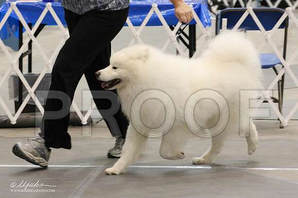 IMG_8910-Abilene2011-HR3