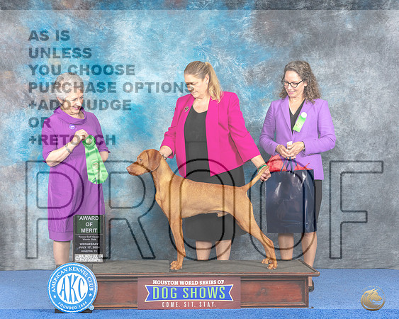 Vizsla #21 Wed AOM Judge Ida Kavafian__JP_7450e_Houston_2024-HR3.jpg