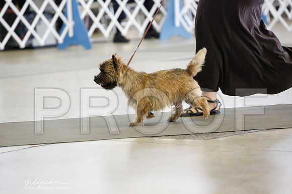 _JN_4813-DallasJul2014-HR3