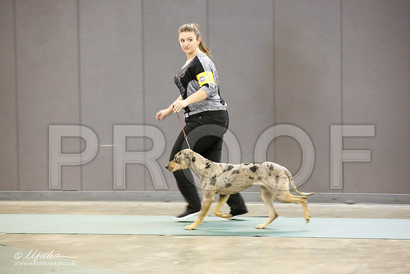 _JN_1336-BeltonJan2015-HR3