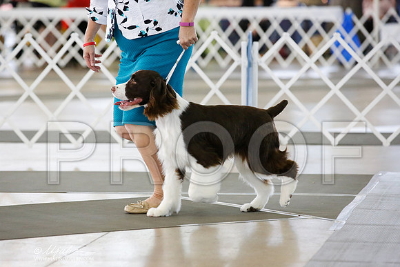 _JN_1566-DallasJul2014-HR3