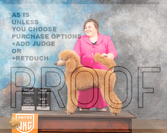Poodle Std #137 Sat1 G4 Judge Lynn MartinMMJ_5947_Lngvw2022HR3