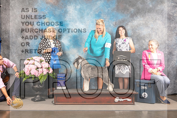 Schnauzer Std #17 Thur G1 Judge Karen McFarlane_MJ_4613_Houston_2022_HR3