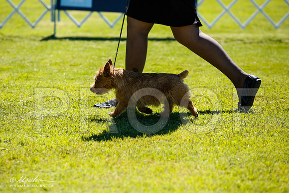 _JN_4824-AlamogordoOct2014-HR3