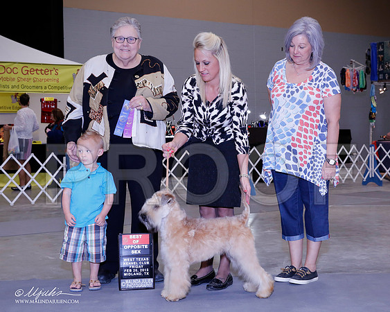 _CL_5994-BeltonJan2015IABCA-HR3