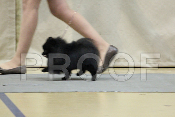MJS_7862