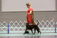 Terrier Group Sat Rings