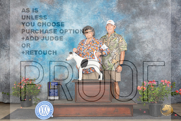 Smooth Fox Terrier #6 Sun WBBOWBOB Judge Elizabeth ‘Beth’ Sweigart__JP_5879_San Antonio_2024_HR3