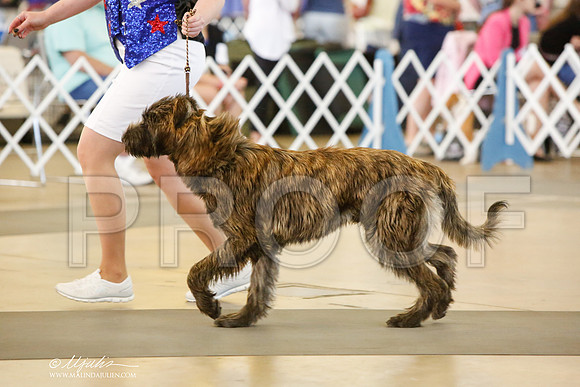 _JJ_7426-DalJul2014-HR3